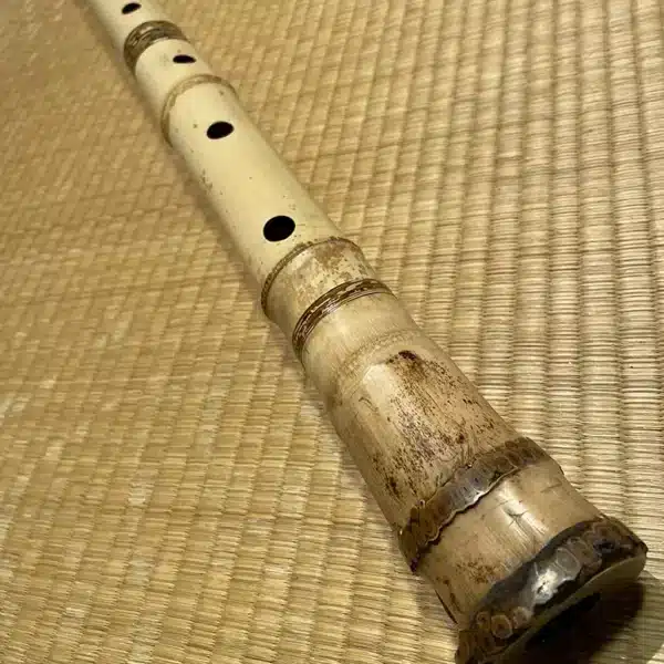 2.4 Jiari #B072